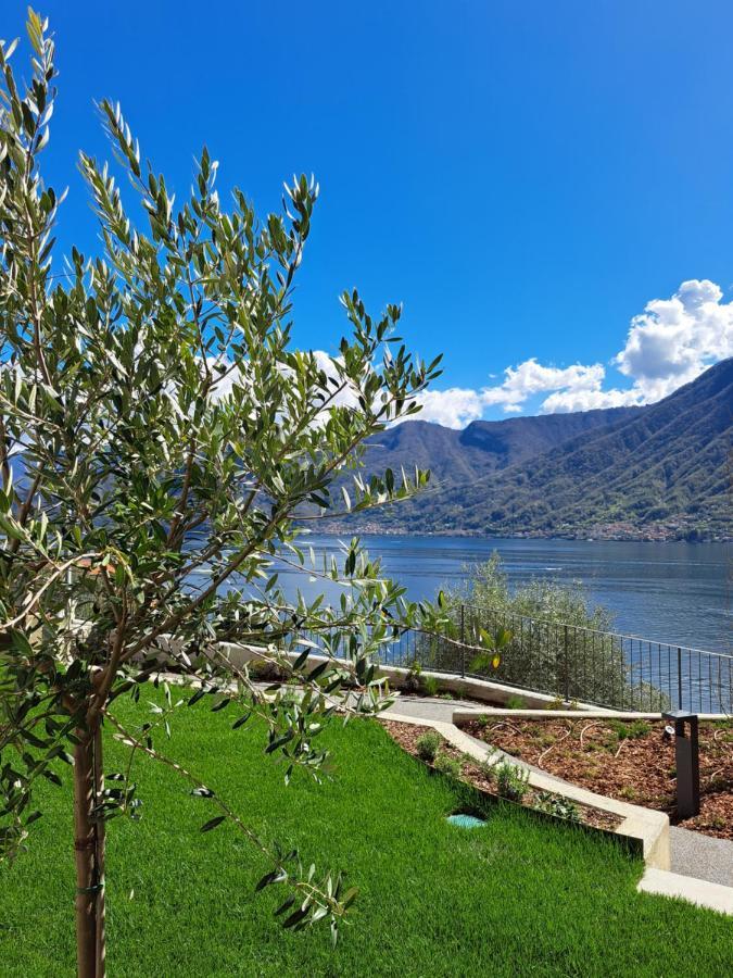 Villa Clementina Boutique Hotel Colonno Екстер'єр фото